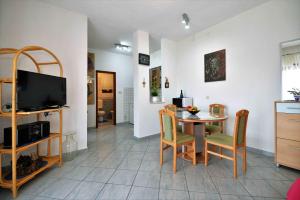 TV a/nebo společenská místnost v ubytování Apartment Zena