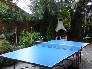 a blue ping pong table in a garden at Orgona Vendégház in Velence