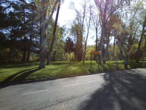 an empty road in a park with trees at Hotel Xabier in Javier