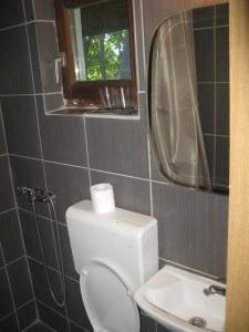 A bathroom at Vodenica Lug