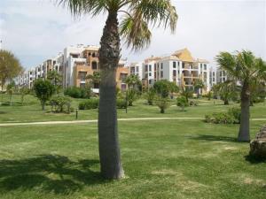a palm tree in a park with buildings in the background at Apartamentos Atlanterra COSTA Y SOL in Zahara de los Atunes
