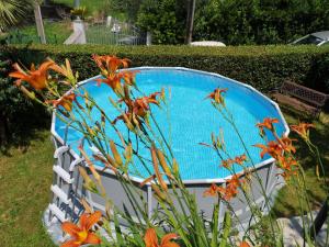 Gallery image of Casa Anna a Pietrasanta in Toscana con piscina in Pietrasanta