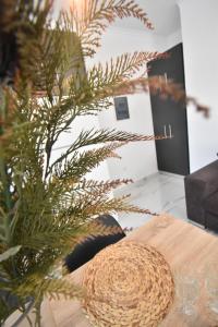 Fotografie z fotogalerie ubytování Anesis Apartment v destinaci Karpathos
