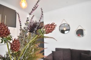 Fotografie z fotogalerie ubytování Anesis Apartment v destinaci Karpathos