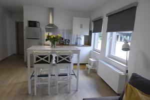een keuken met een tafel en stoelen in een kamer bij Appartement Jemeppe-Bierset-Liège in Luik