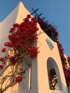 una iglesia con flores rojas al lado de un edificio en Pelagos Studios en Parikia