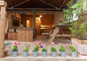 Zahrada ubytování Fisherman's glamping village