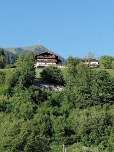 ein Haus auf einem Hügel mit Bäumen in der Unterkunft Bauernhof Mödling in Hopfgarten im Brixental