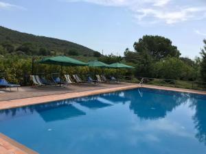Bazén v ubytování Agriturismo Podere Gozzuto nebo v jeho okolí