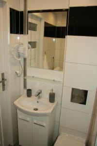 Ένα μπάνιο στο Apartament Miedzianka +9 φωτογραφίες