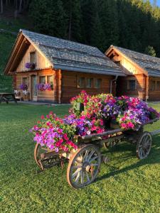 Zahrada ubytování Alpine Chalet