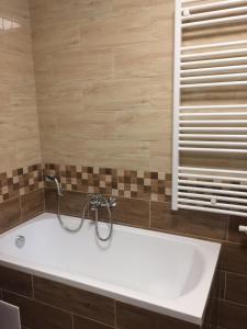 a bath tub with a shower in a bathroom at Alföldi Levendula Vendégház in Cserkeszőlő +21 photos