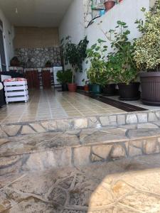 Fotografie z fotogalerie ubytování Apartmani Dini v destinaci Ulcinj