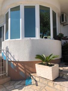 une maison avec une plante en pot devant elle dans l'établissement Apartmani Dini, à Ulcinj