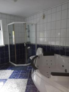 Ванна кімната в Dada Apartment