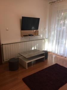 Televízia a/alebo spoločenská miestnosť v ubytovaní ROSE Apartman
