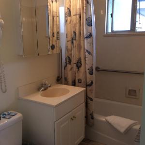 a bathroom with a sink and a shower curtain at Gray's Inn & Gallery in Morro Bay