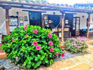 La Loma Hotel Barichara tesisinin dışında bir bahçe