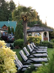 a row of lawn chairs in a yard with a palm tree at Qualicum Breeze Beach Resort in Qualicum Beach