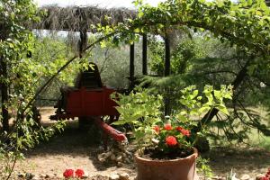 a garden with a swing and flowers in a yard at Agriturismo Manetti in Montespertoli