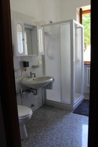 a bathroom with a sink and a toilet at Il giardino dei fiori in Mandello del Lario
