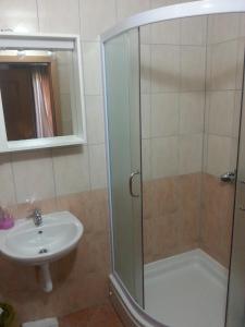 a bathroom with a shower and a sink at Guest House Robi in Međugorje