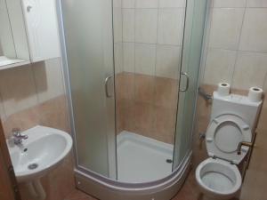 a bathroom with a shower and a toilet and a sink at Guest House Robi in Međugorje