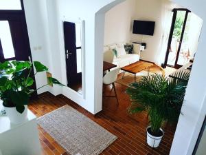 a living room with a couch and two plants at Salt & Stone Villa in Pag