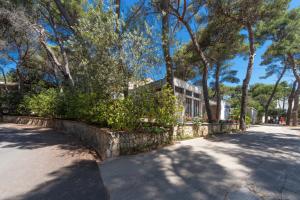 a tree lined street with a house and trees at Diana & Josip Mobile Homes in Biograd na Moru