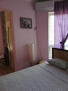 ロオにあるGuest House on Proxladniyの紫の壁のベッドルーム1室(ベッド1台付)