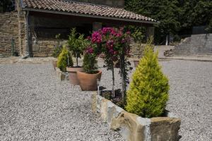 Zahrada ubytování Holiday Home Cosseriga
