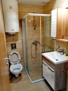 uma casa de banho com um chuveiro, um WC e um lavatório. em Apatman Sergej em Sokobanja
