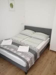 1 cama con 2 almohadas en una habitación en Fiszer 1 & 2, en Sopot