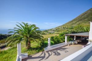 uma villa com uma palmeira e uma piscina em Agriturismo Galletta em Leni