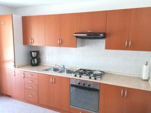 Kuchnia lub aneks kuchenny w obiekcie Apartments Ana Medulin