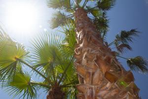 Fotografie z fotogalerie ubytování Hotel Grotticelle v destinaci Capo Vaticano