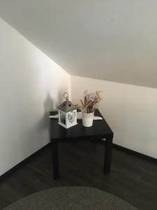 バイレ・トゥシュナドにあるCasa Skandik Házのギャラリーの写真