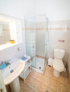 a bathroom with a shower and a toilet and a sink at Pension Barbara in Katapola