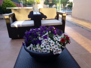 a pot of flowers sitting next to two chairs at Apartamentos Cormoran in A Lanzada