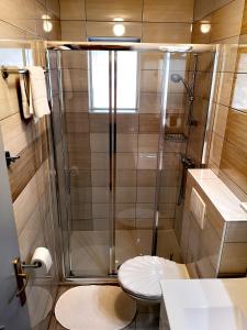 a bathroom with a shower and a toilet at Apartman Olga in Umag