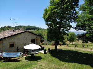 a house with a tree and two chairs and an umbrella at B&B Il Castellaro Zocca in Zocca