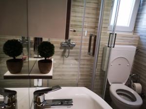 a bathroom with a toilet and a shower and a sink at Holiday Home Višnja in Nin +26 photos
