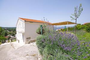 Imagen de la galería de Apartmani Mia Šolta, en Nečujam