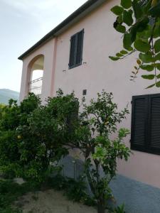 ein weißes Gebäude mit einem Baum davor in der Unterkunft casa Gaia 2 in Portoferraio