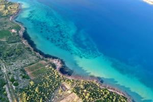 an aerial view of the beach and the ocean at Barbat 730 in Rab