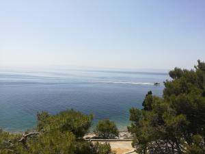 a view of a body of water with trees at Villa Adagio Apartments in Sumartin
