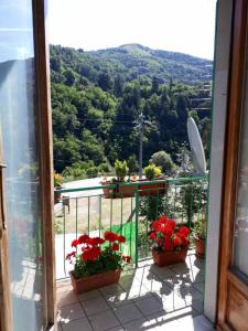 a balcony with red flowers and a view of a mountain at Casotti in Cutigliano
