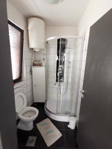 a bathroom with a shower and a toilet at Apartment Old Town in Pula