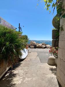 a sidewalk with plants and the ocean in the background at Morski Val in Piran
