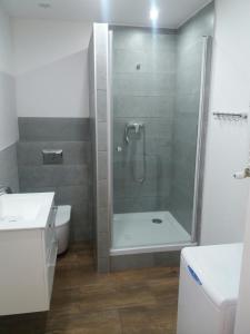 Koupelna v ubytování Apartament Thomas